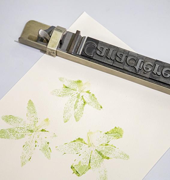 image montrant un composteur muni de caractères typographiques mobiles en plomb ainsi qu'une feuille de papier montrant un végétal