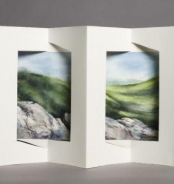 reliure panel-book