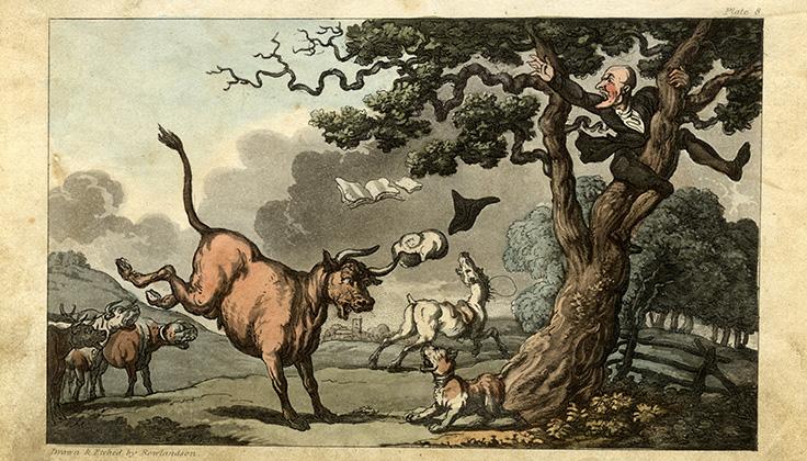 Les aventures du Dr Syntax de Thomas Rowlandson (1812*-1820). 