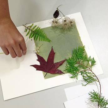 composition florale sur feuille cyanotypée