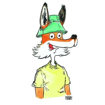 image d'illustration d'un renard par Bastien Castres