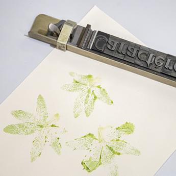 image montrant un composteur muni de caractères typographiques mobiles en plomb ainsi qu'une feuille de papier montrant un végétal