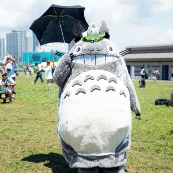 image de personne munie d'un costume de Totoro