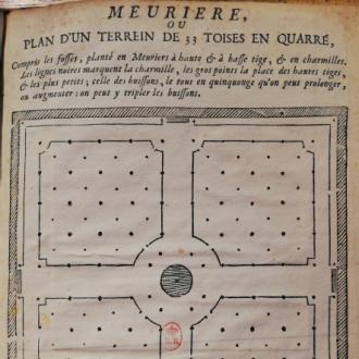 amis conférence mai carré
