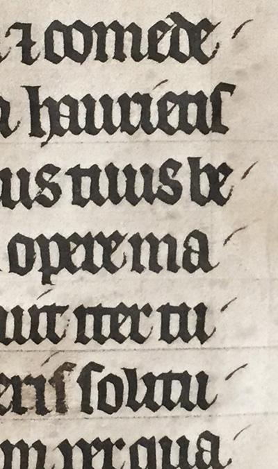 Fragment d’une Bible manuscrite de la fin du XIIIe siècle (inv 1175)