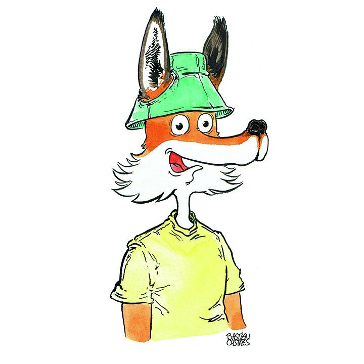 image d'illustration d'un renard par Bastien Castres